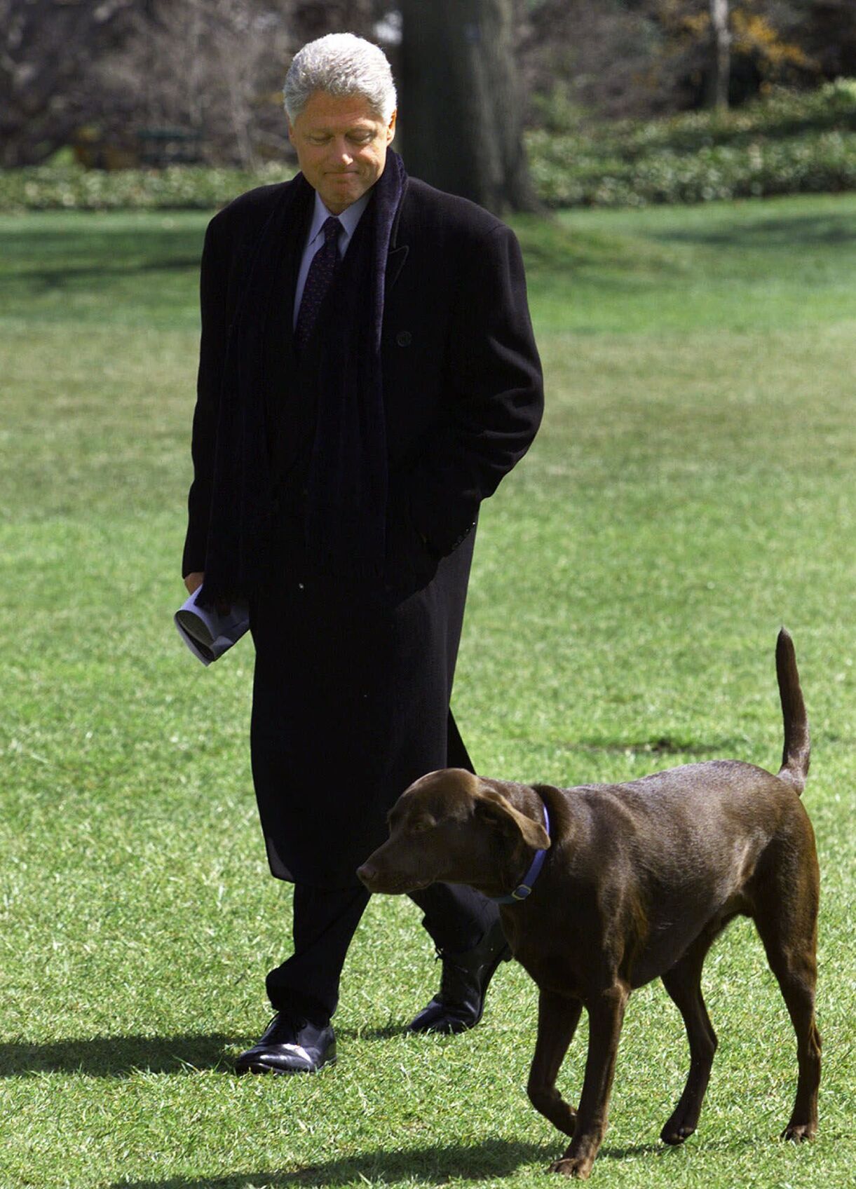 Bill Clinton, Buddy